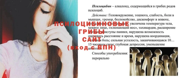 сатива Баксан