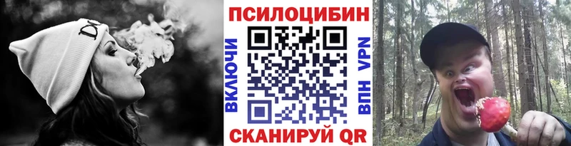 Псилоцибиновые грибы Psilocybine cubensis  KRAKEN ТОР  Нязепетровск 